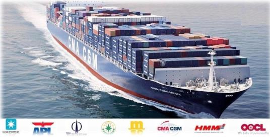 호키 슬라이드 보드 폴란드 프리미엄 실리콘 스프레이 하키 타일 안전 3