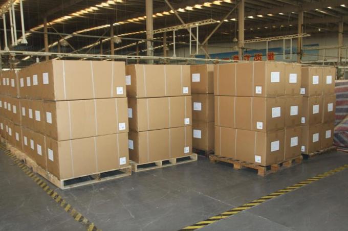 호키 슬라이드 보드 폴란드 프리미엄 실리콘 스프레이 하키 타일 안전 4